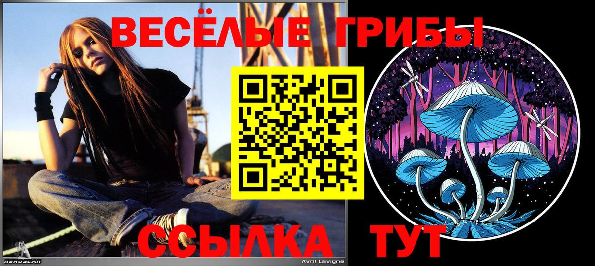 Борисоглебск  Галлюциногенные грибы прущие грибы  Вход с VPN 