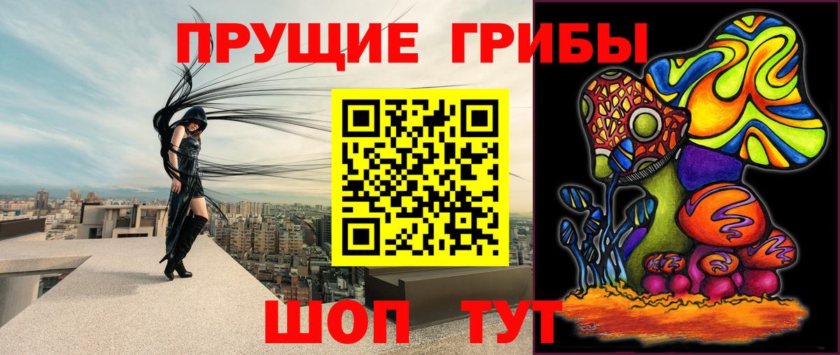 Галлюциногенные грибы Psilocybine cubensis Борисоглебск