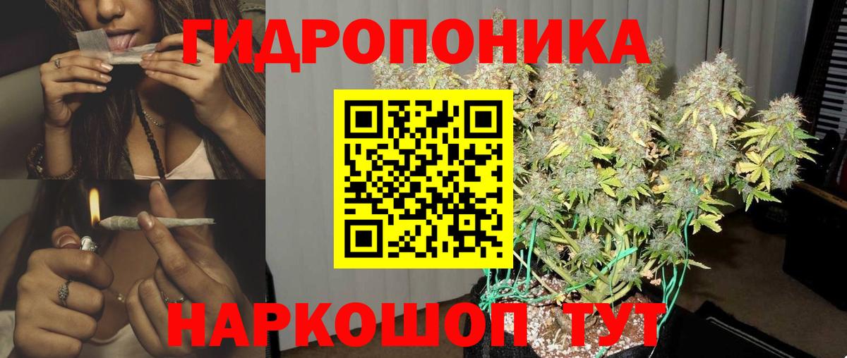 Шишки марихуана тримм  Бошки марихуана план  Борисоглебск  Вход с VPN  Канабис AK-47 